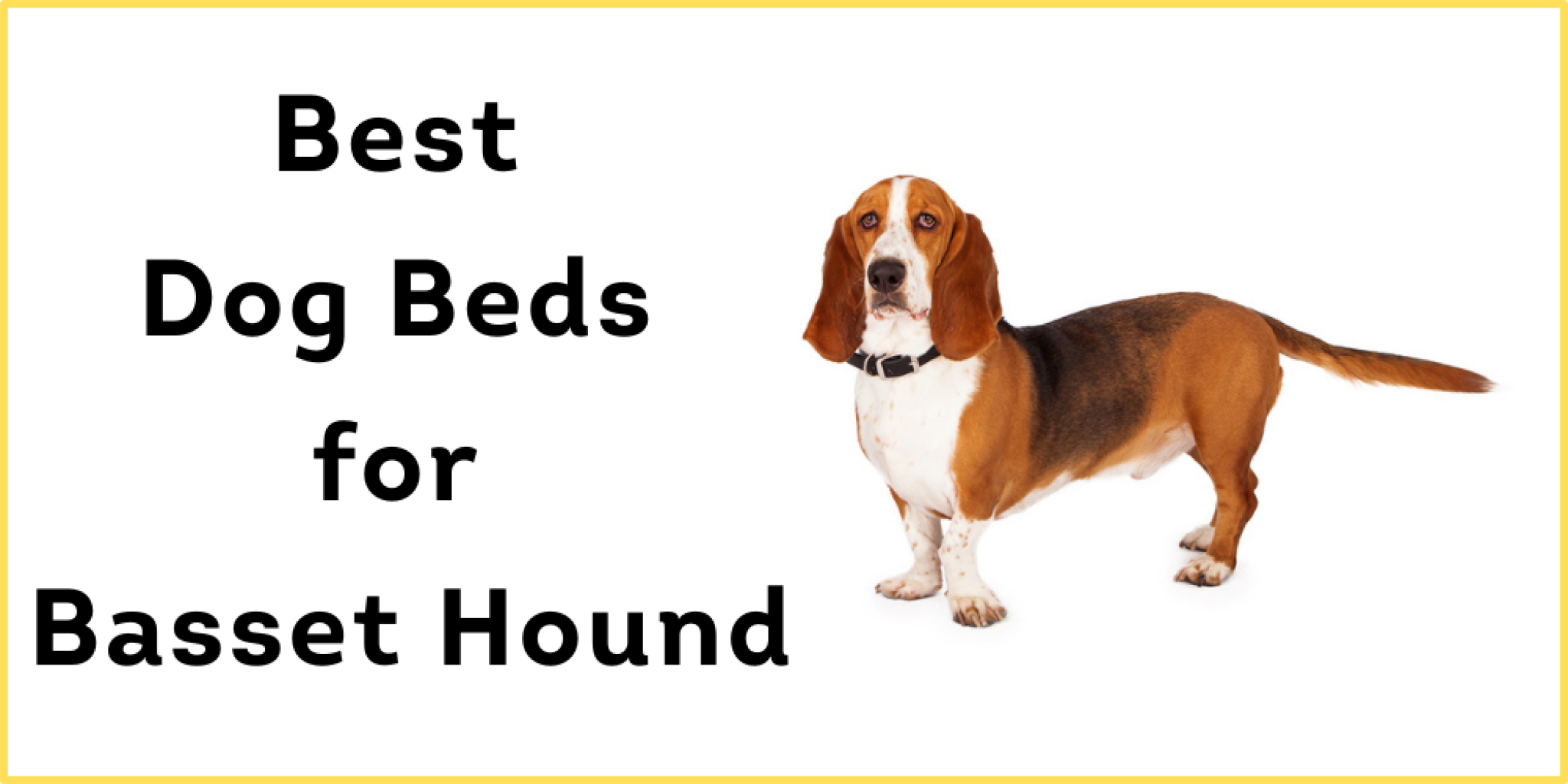 Top 5 Best Dog Beds for Basset Hound Reviews in 2022