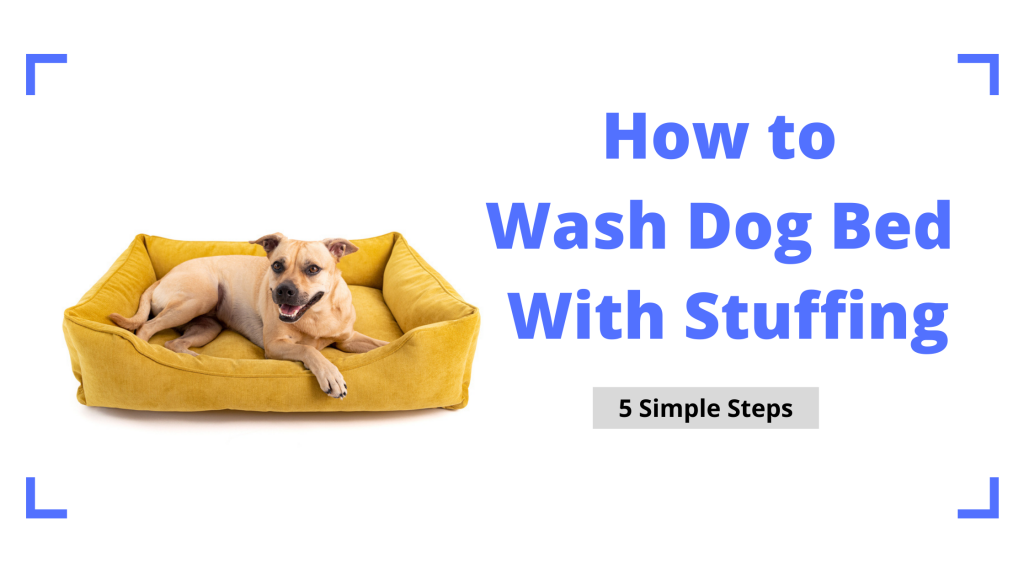 How to Wash Dog Bed With Stuffing