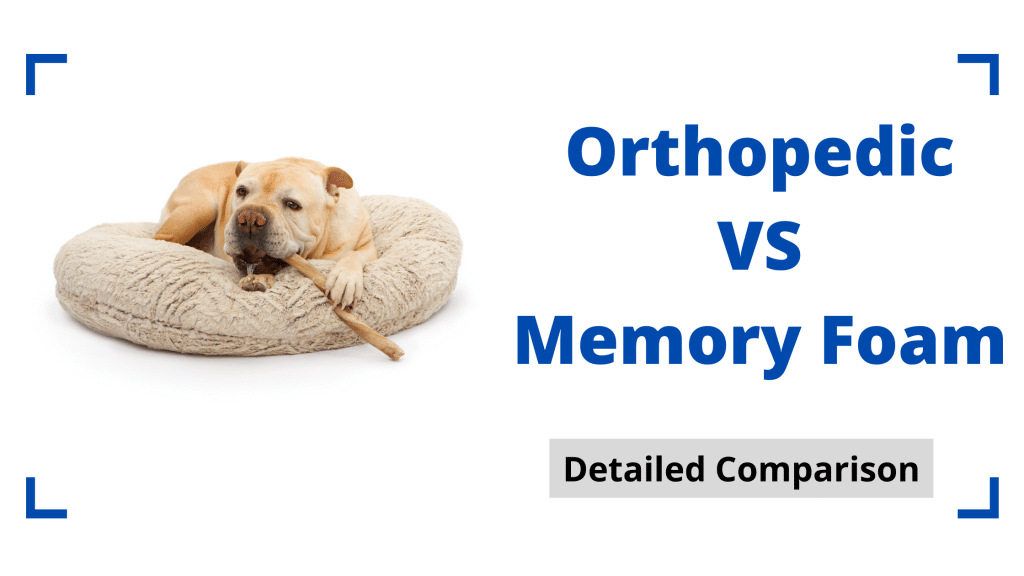 Orthopedic VS Memory Foam Dog Bed