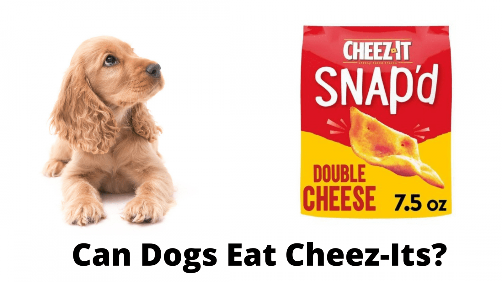 Can dogs have cheez its