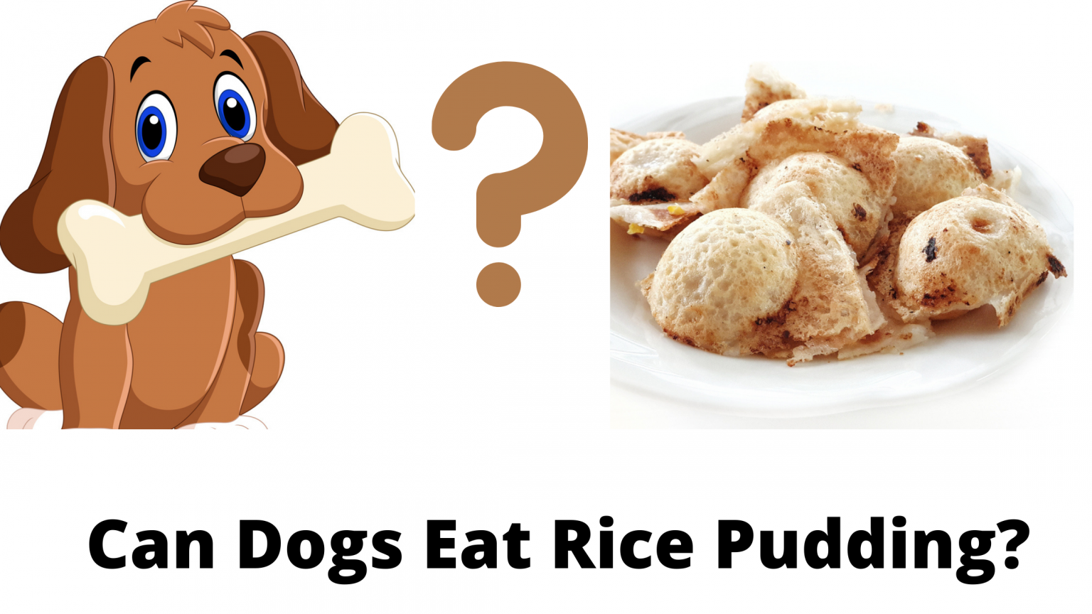 Can Dogs Eat Rice Pudding? Is it Fine For Sensitive Stomach?