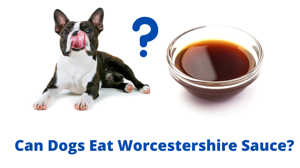 Can Dogs Eat Worcestershire Sauce? A Detailed Answer