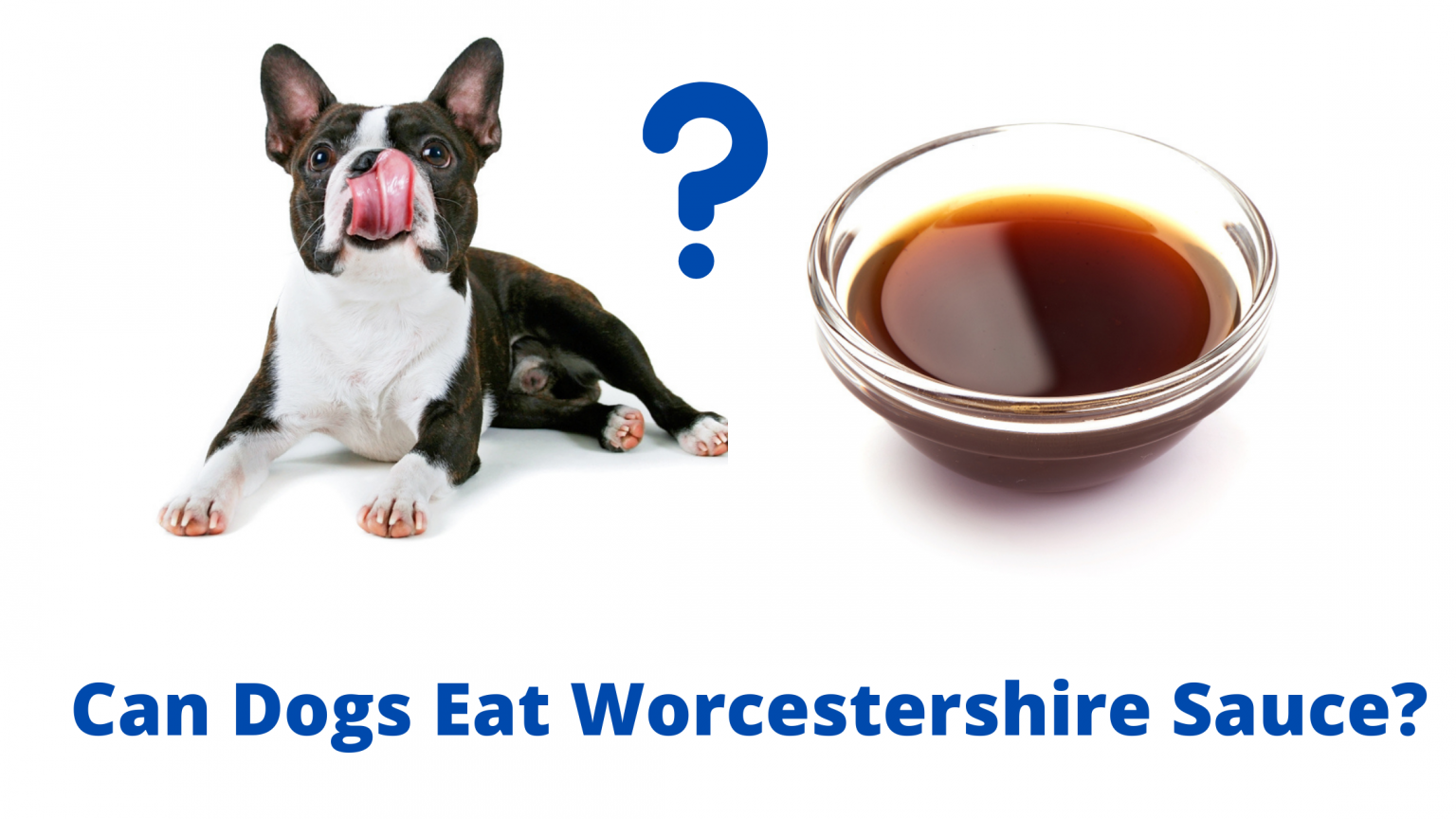 Can Dogs Eat Worcestershire Sauce? A Detailed Answer