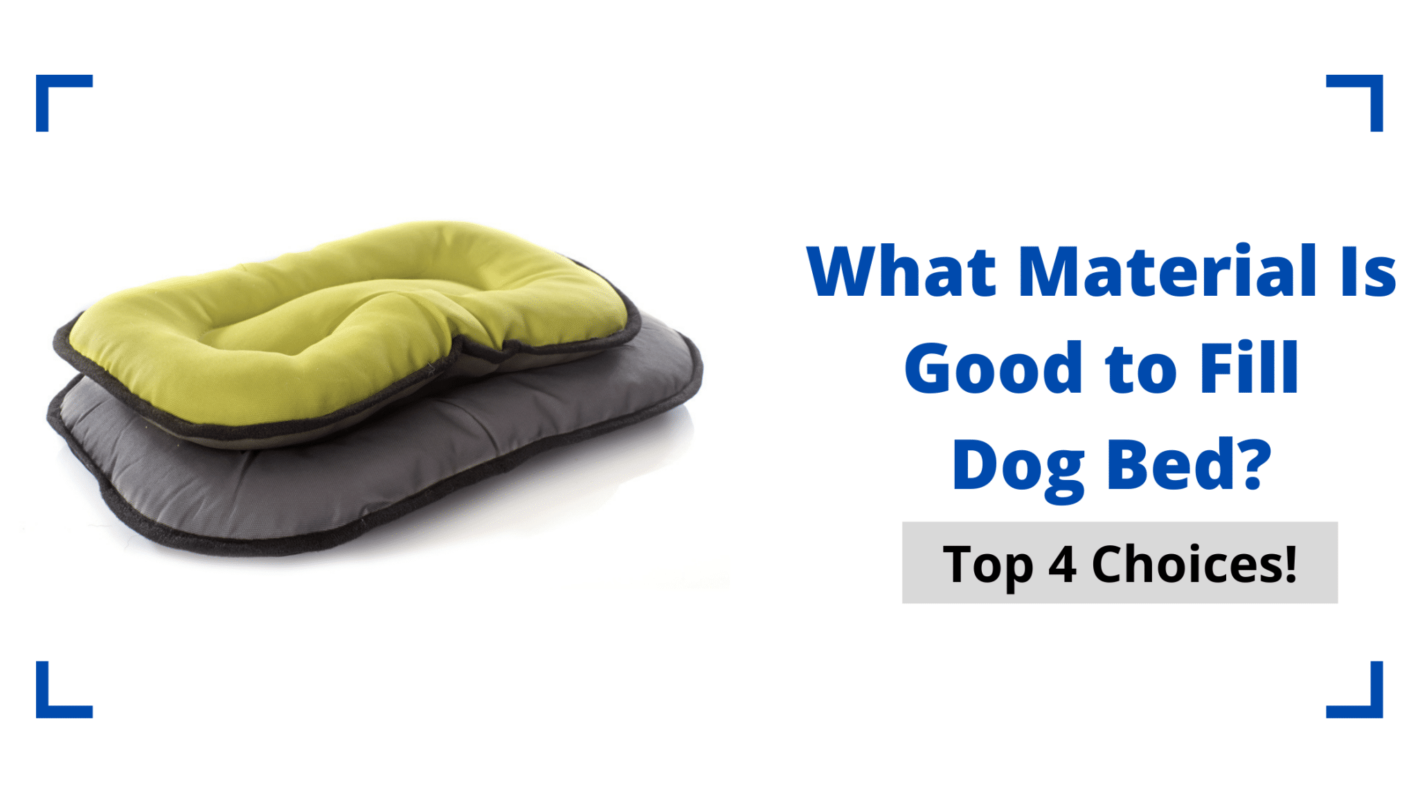 What Material Is Good to Fill Dog Bed? Top 4 Choices