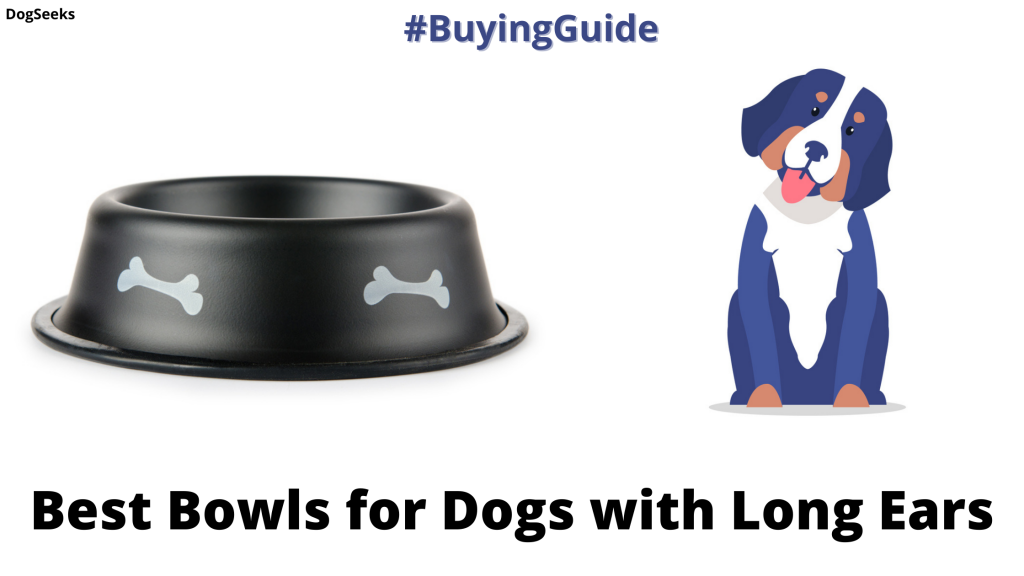 Best Bowls for Dogs with Long Ears