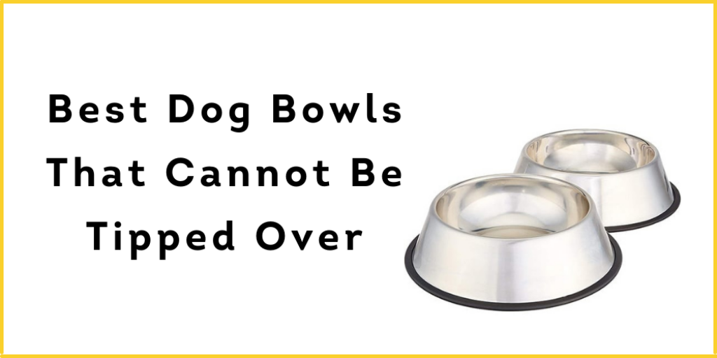 Best Dog Bowls That Cannot Be Tipped Over