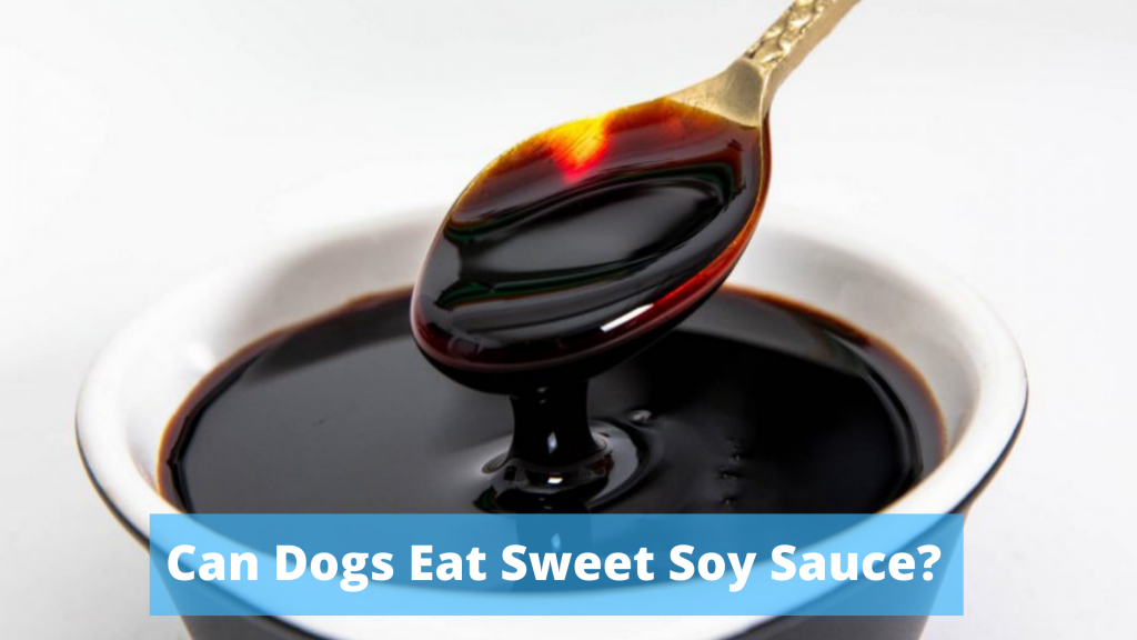 Can Dogs Eat Sweet Soy Sauce?