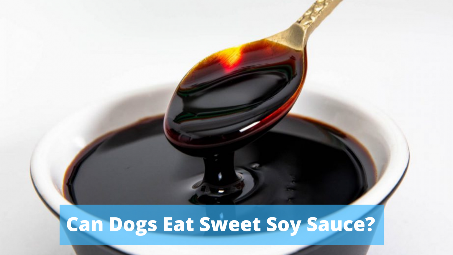 Can Dogs Eat Sweet Soy Sauce? Stragight Facts