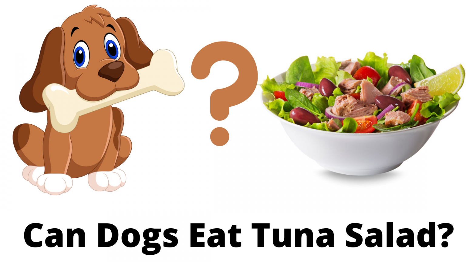 Can Dogs Eat Tuna Salad Or Tuna With Mayo? Myths Unfolded