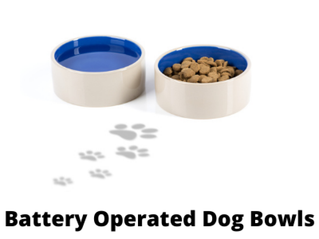 Best Battery Operated Heated Water Bowls