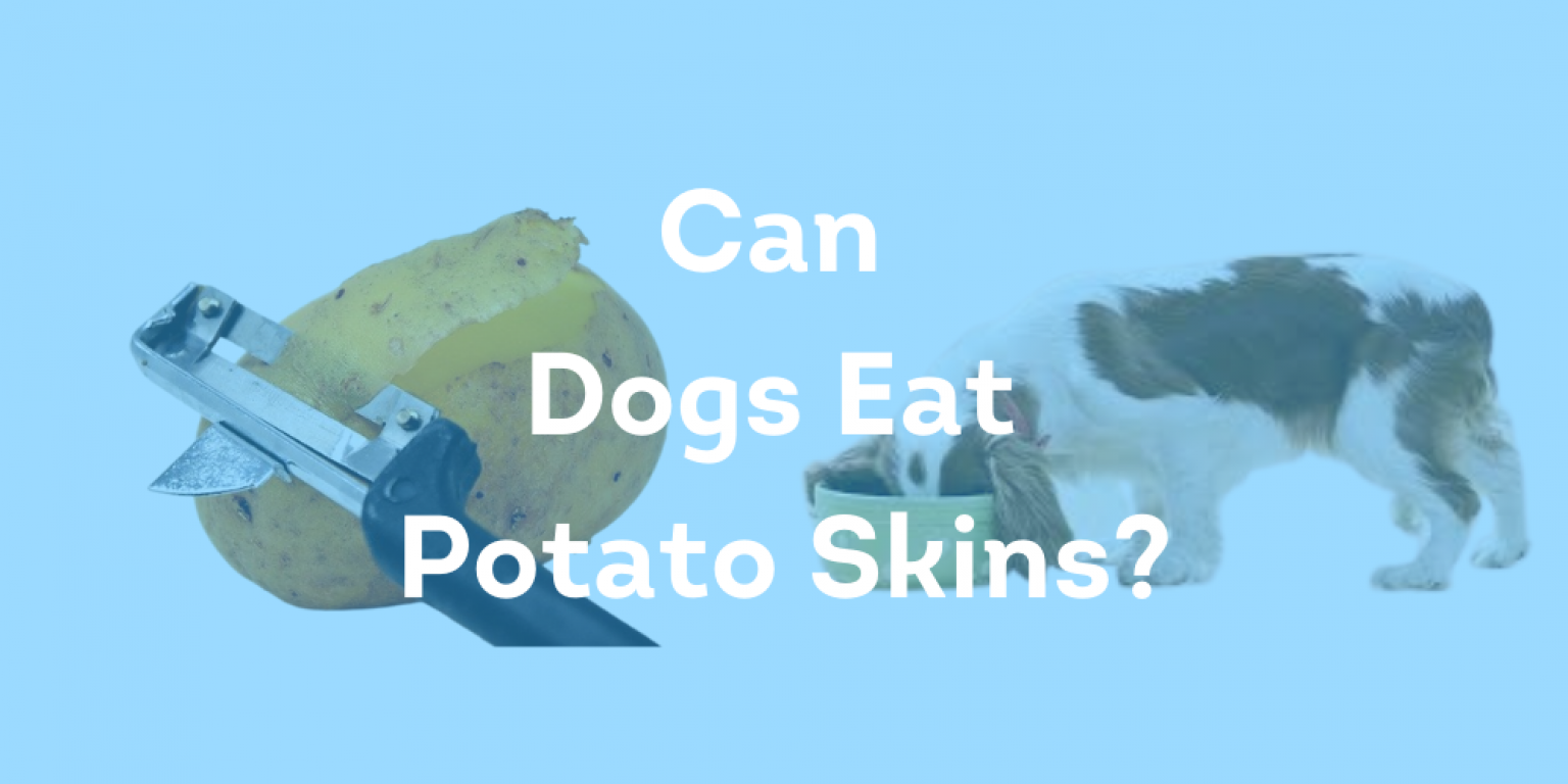 Can Dogs Eat Potato Skins? Things You Should Know