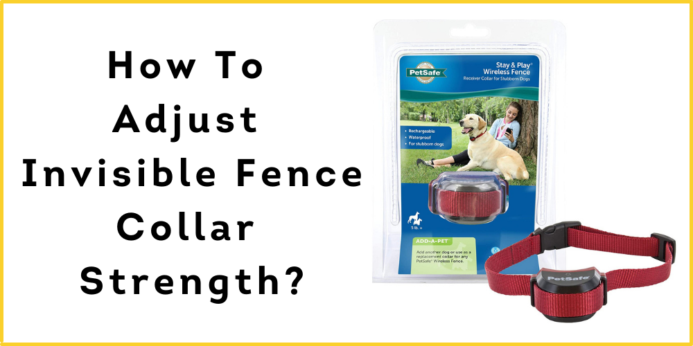 How To Adjust Invisible Fence Collar Strength? Ultimate Guide