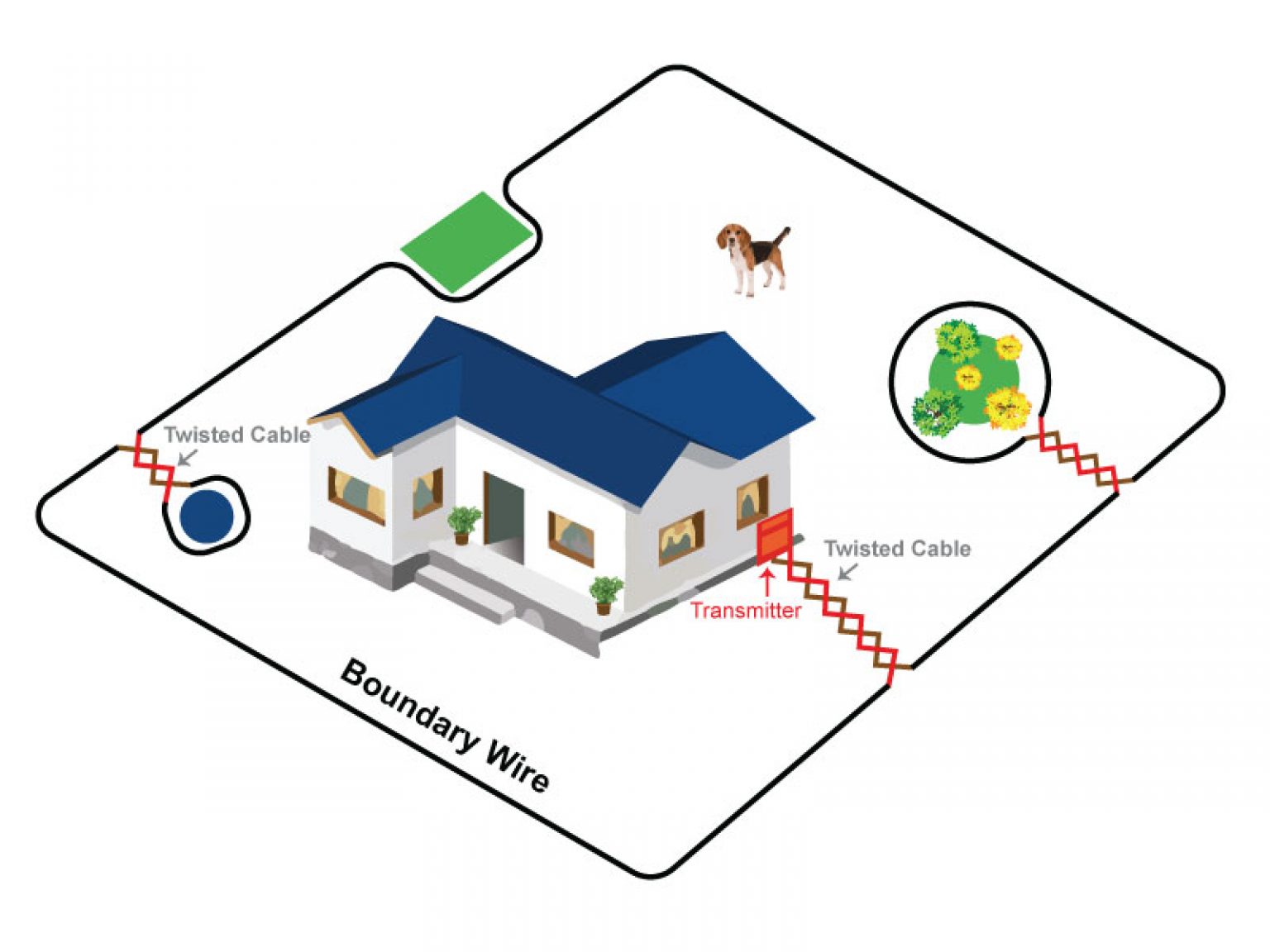 How To Twist Wire For Dog Fence? Right And Easy Ways