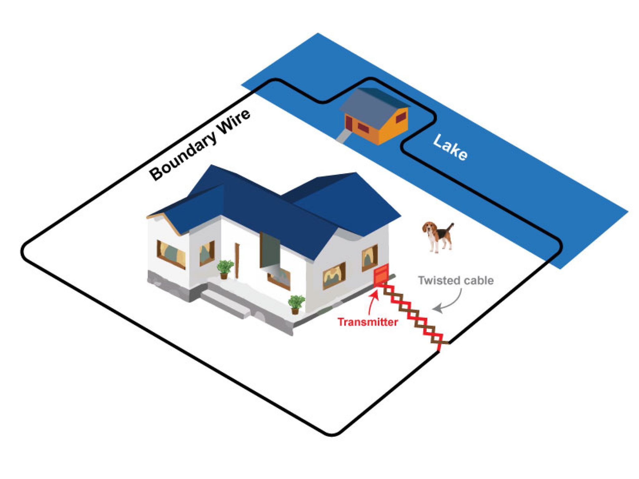 How To Twist Wire For Dog Fence? Right And Easy Ways