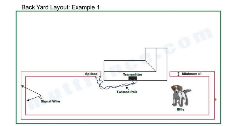 How To Twist Wire For Dog Fence? Right And Easy Ways