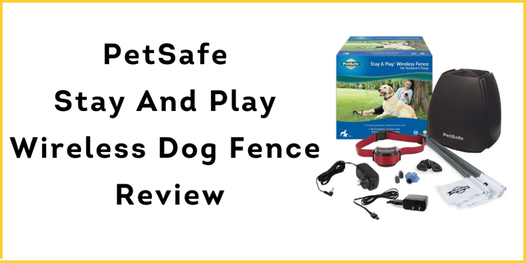 PetSafe Stay And Play Wireless Dog Fence Review