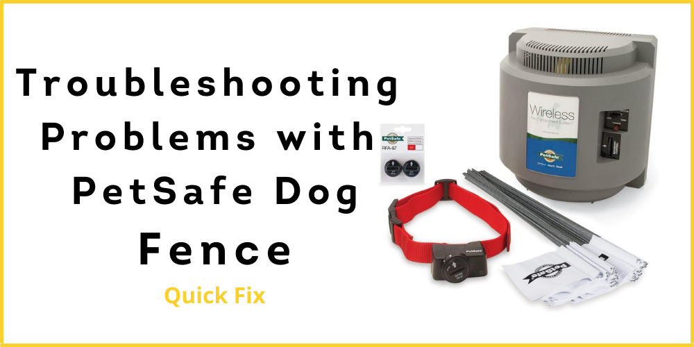 petsafe wireless transmitter