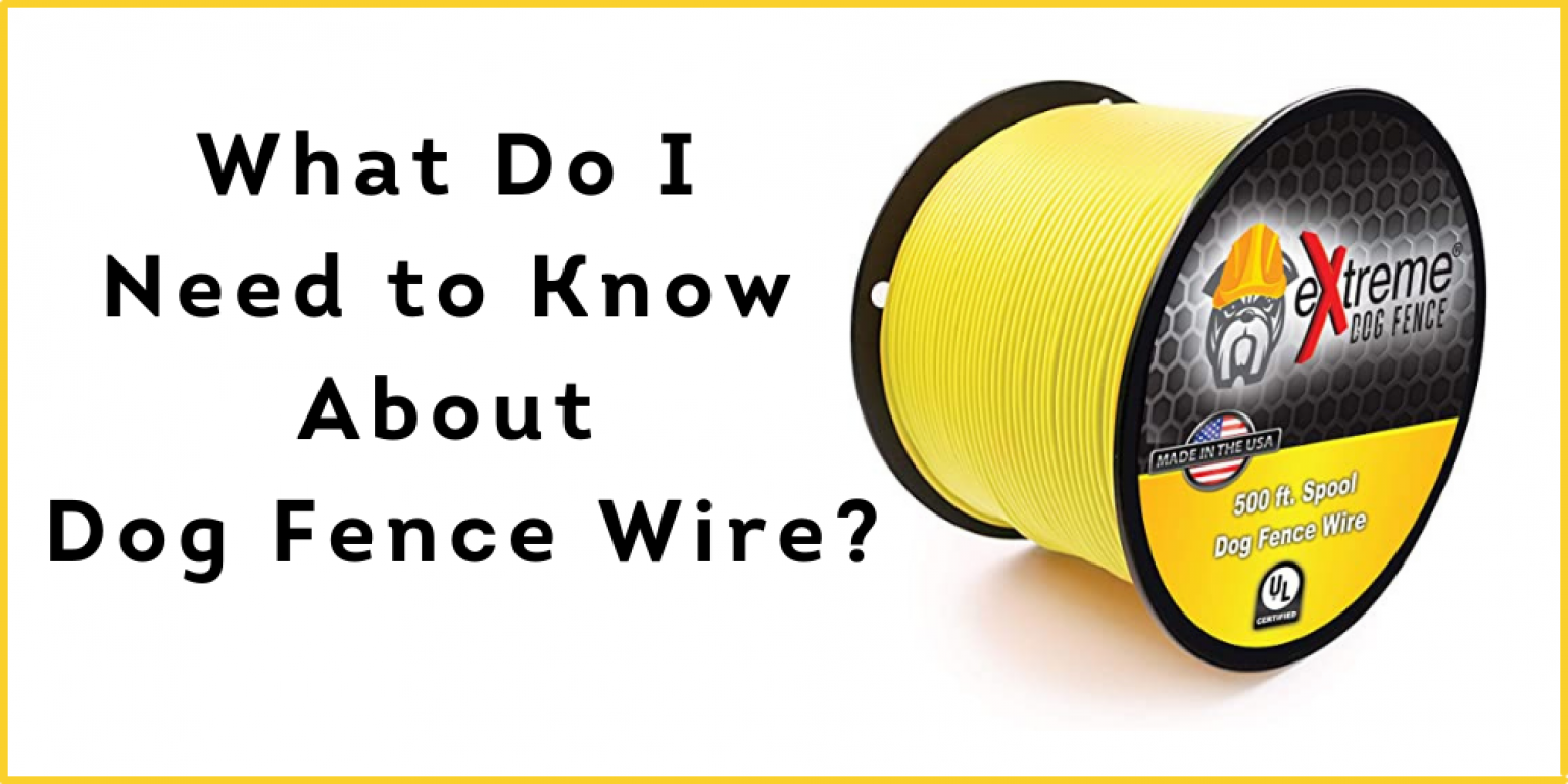 What Do I Need to Know About Dog Fence Wire?