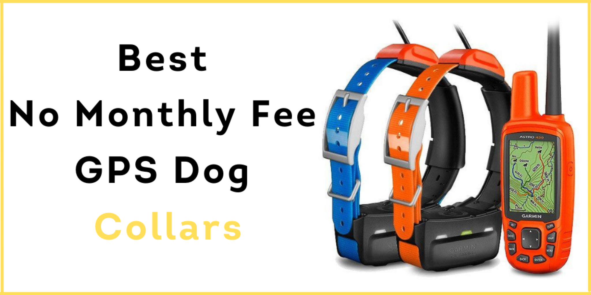 11 Best No Monthly Fee GPS Dog Collars in 2022 DogSeeks
