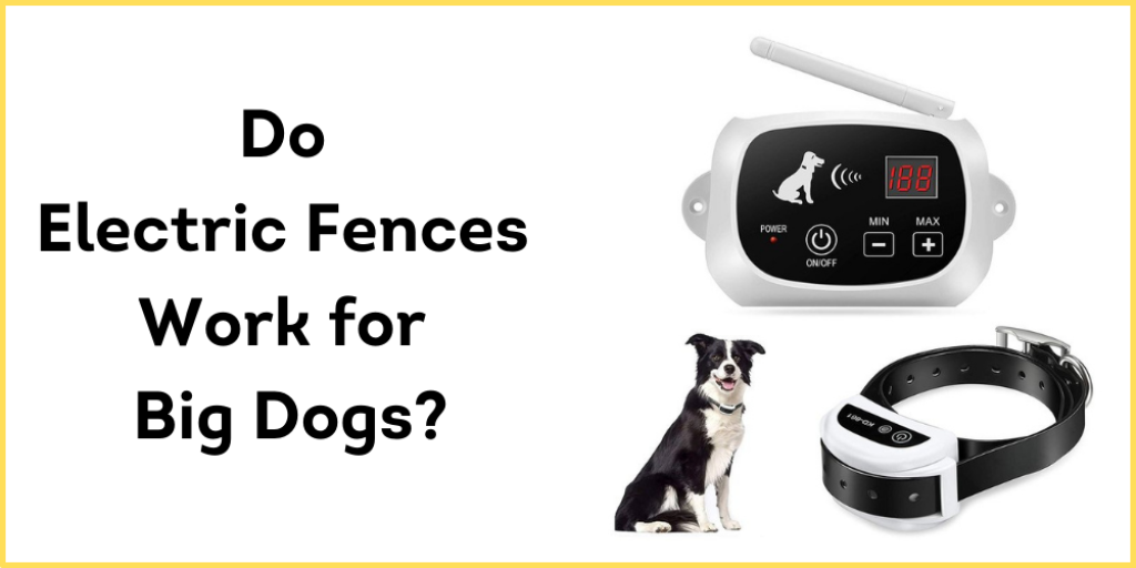 Do Electric Fences Work for Big Dogs?