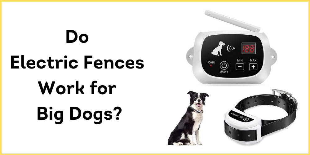 best electric fence for big dogs