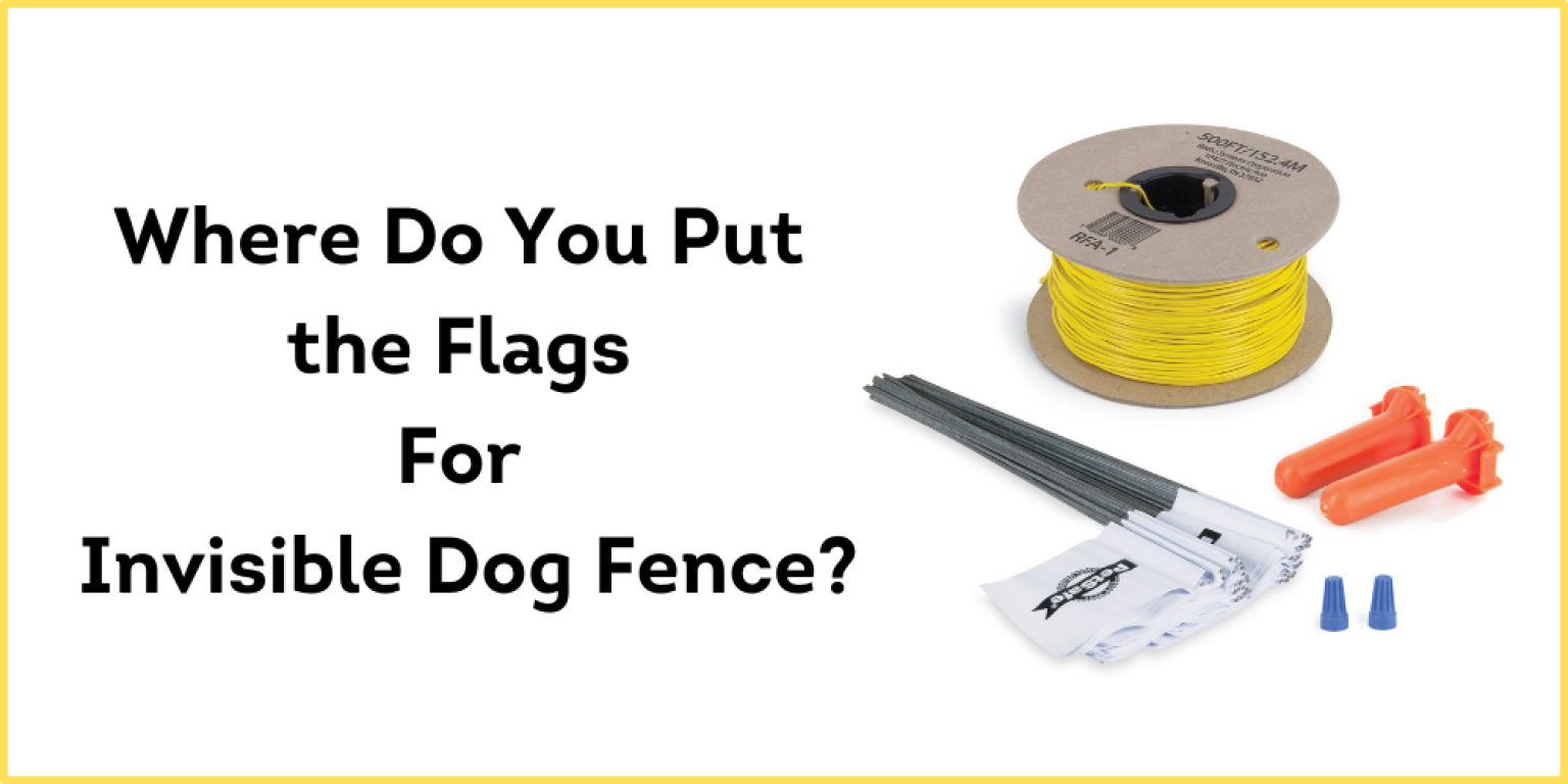 Where Do You Put the Flags For an Invisible Dog Fence?