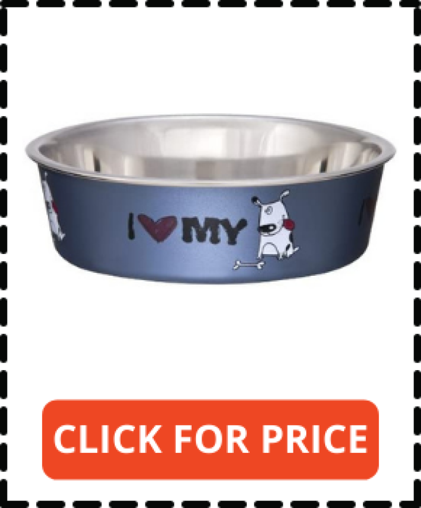10 Best Dog Bowls That Attach to Crate Easily in 2022