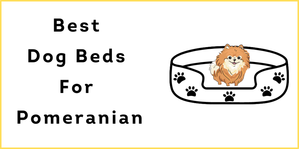 Best Dog Beds For Pomeranian