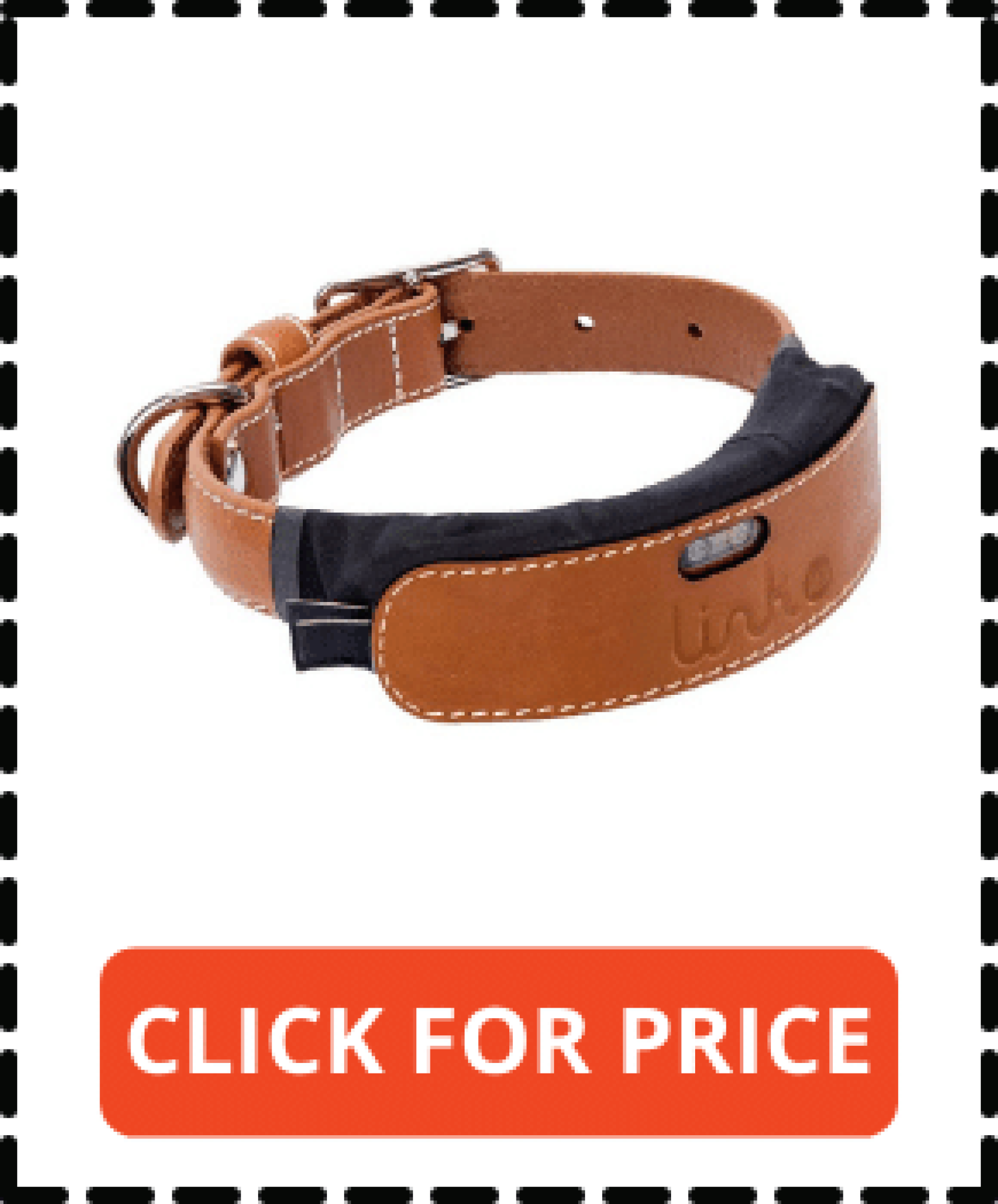 11 Best No Monthly Fee GPS Dog Collars in 2022 DogSeeks