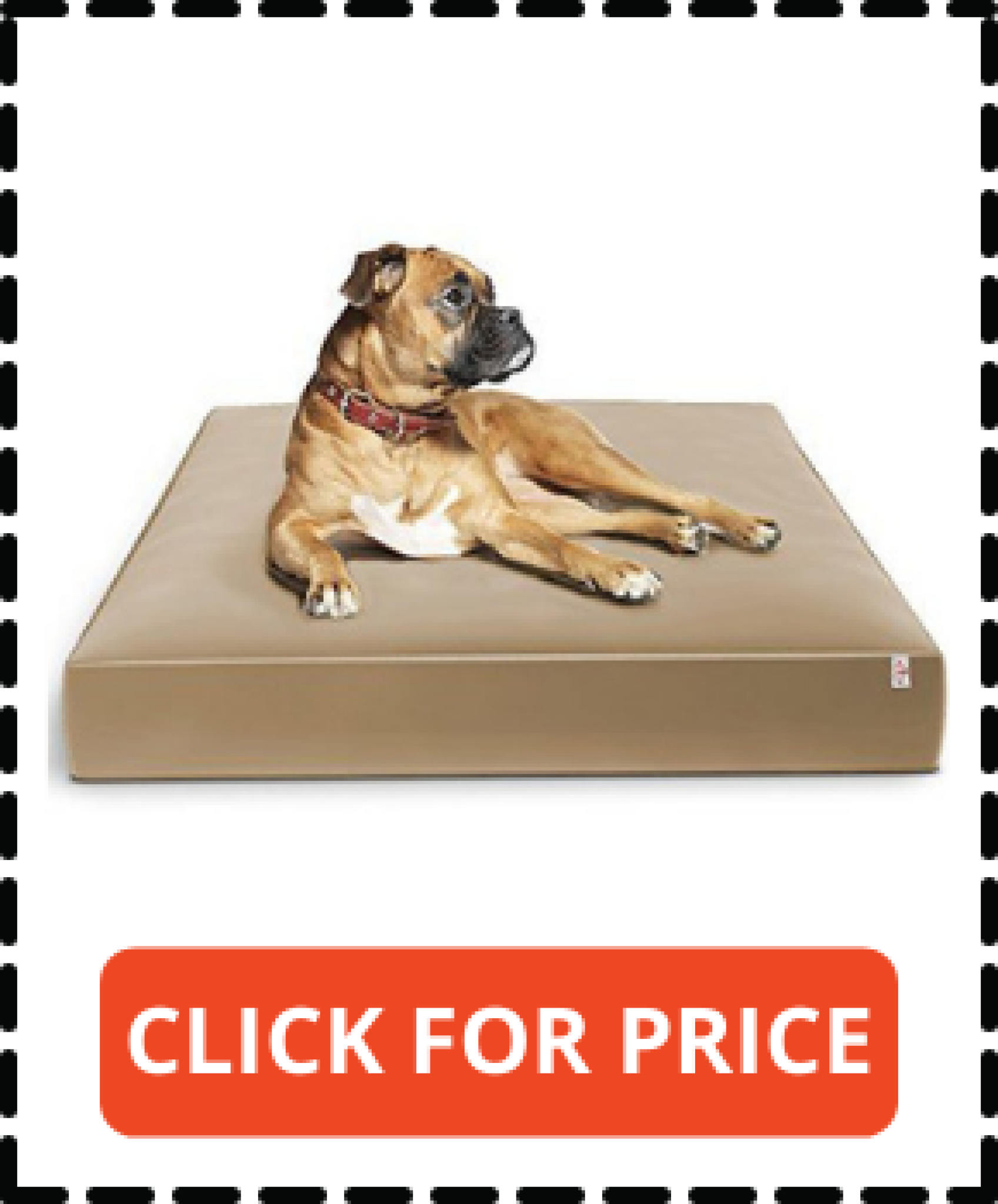 Top 10 Best Dog Beds for Older Dogs Reviews 2022