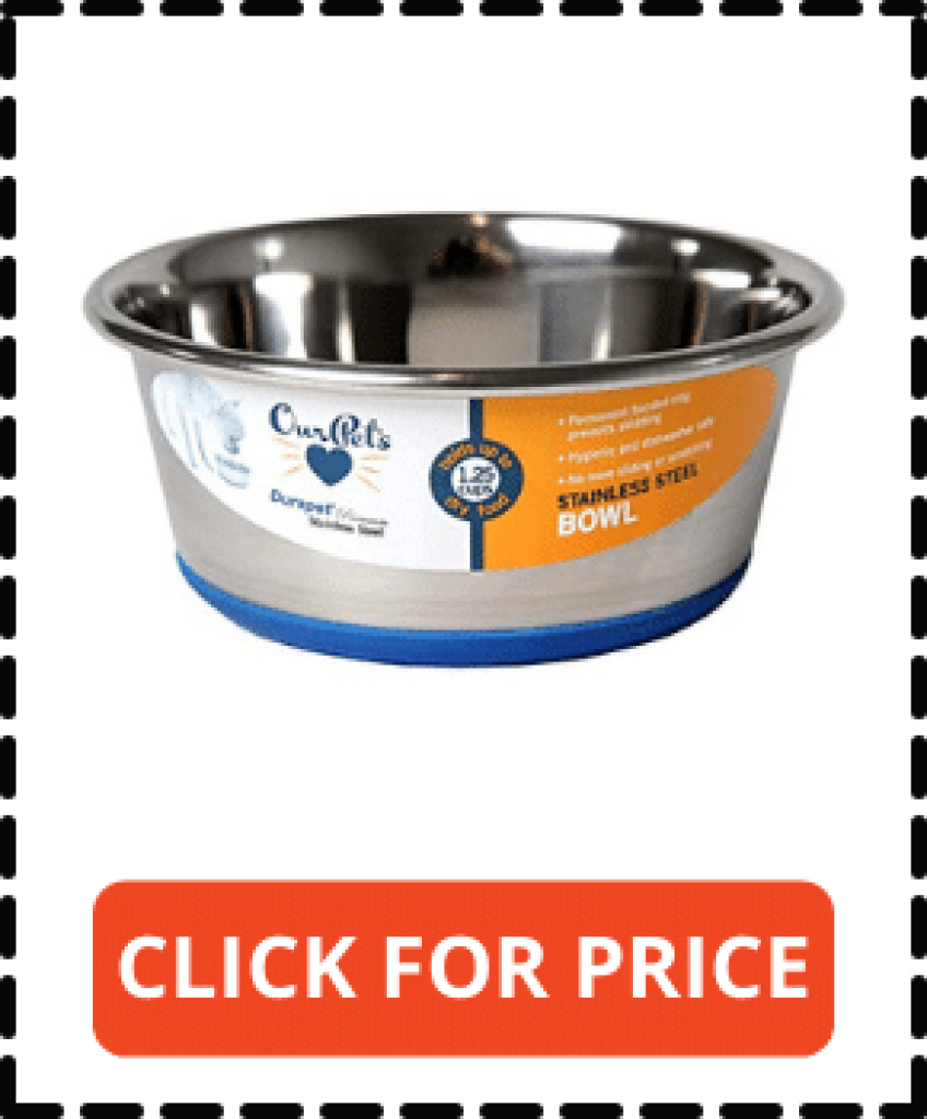 Top 8 Best Dog Bowls That Cannot Be Tipped Over 2022