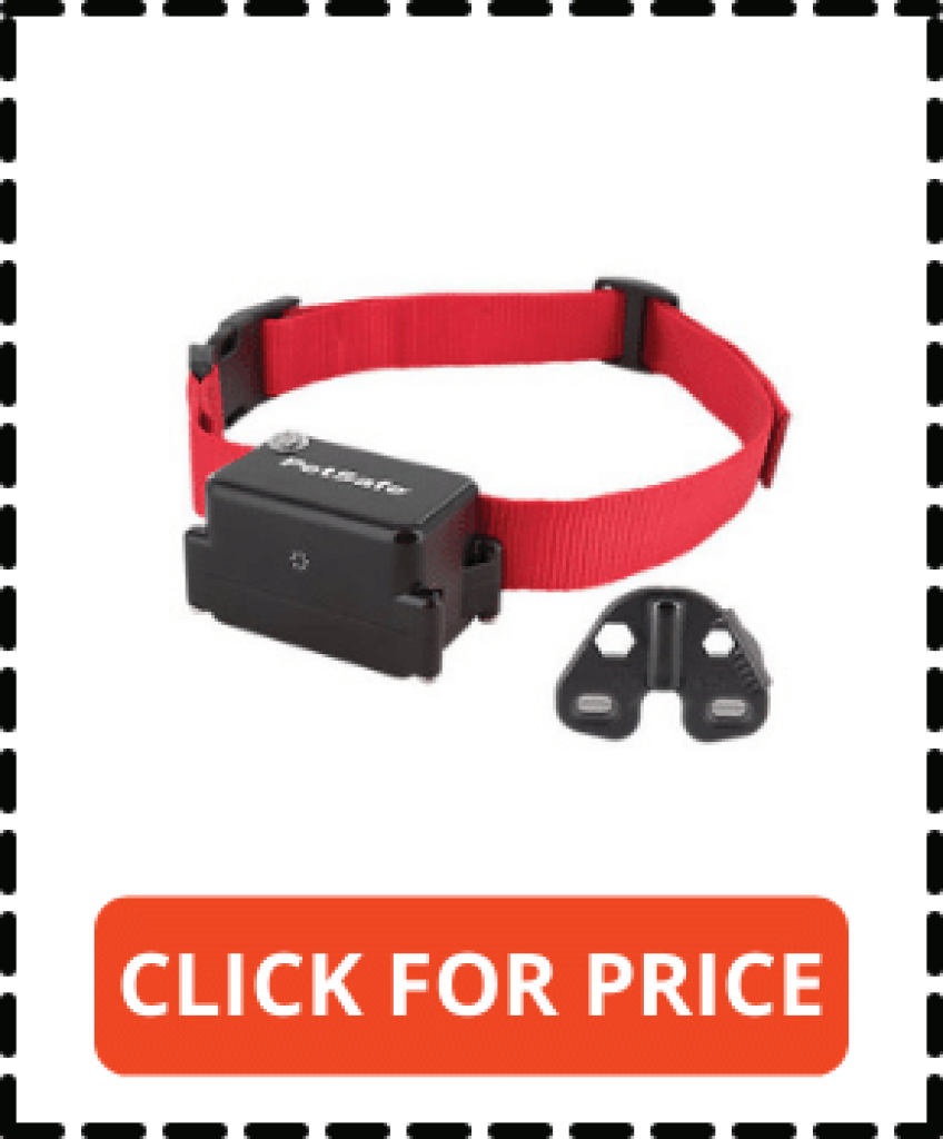 5 Best Wireless Dog Fence for Wooded Area, Hills & Landscaping Reviews 2022