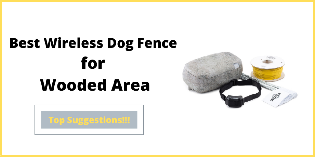 Best Wireless Dog Fence for Wooded Area