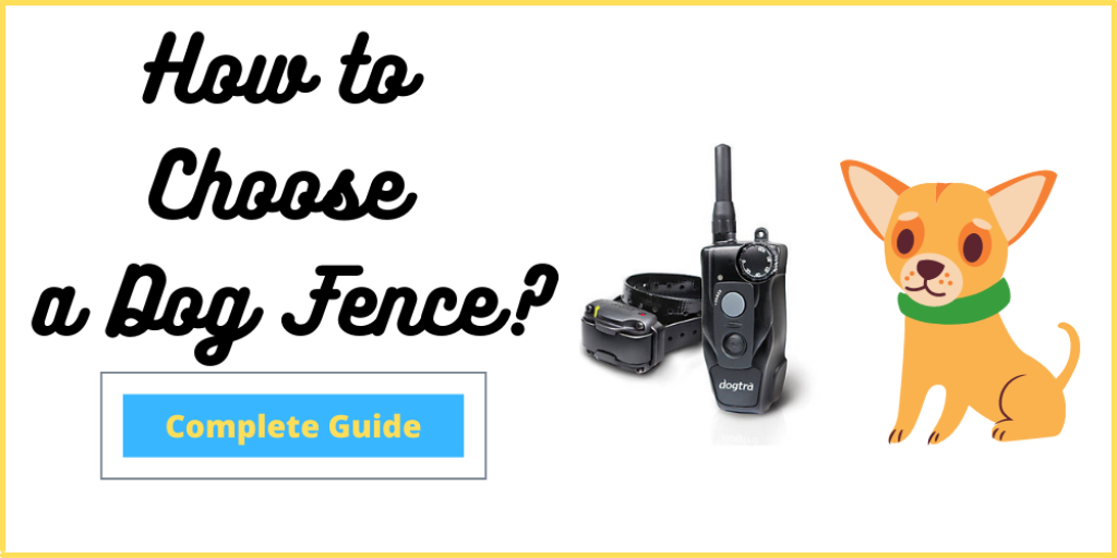 How to Choose a Dog Fence?