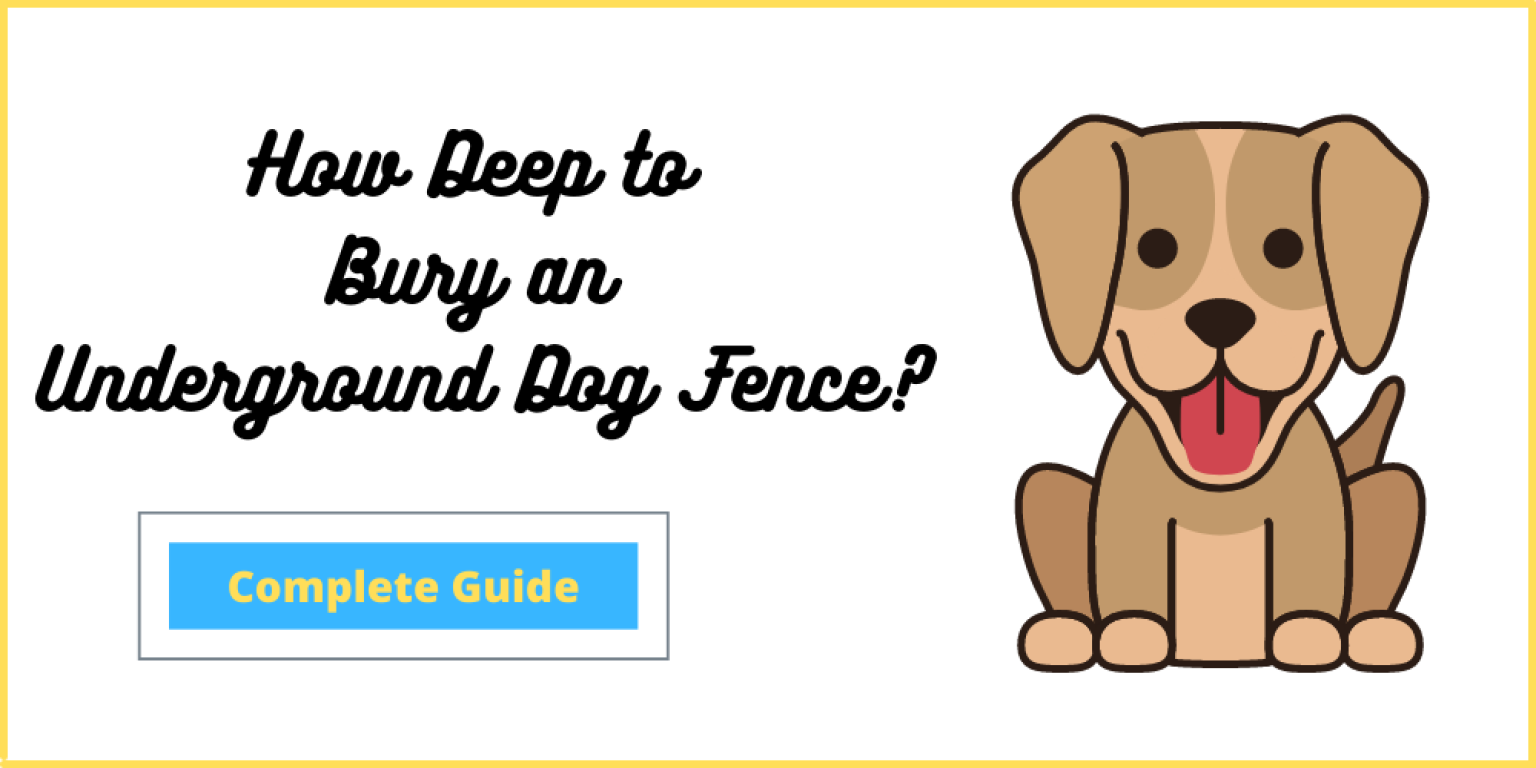 How Deep to Bury an Underground Dog Fence? Easiest Way