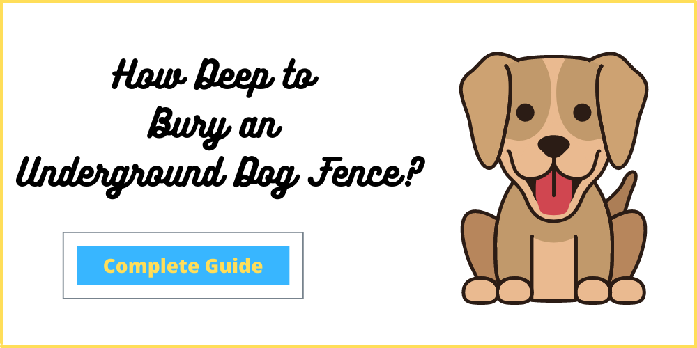 Bury An Underground Dog Fence, How Deep Do You Need To Bury Underground Dog Fence