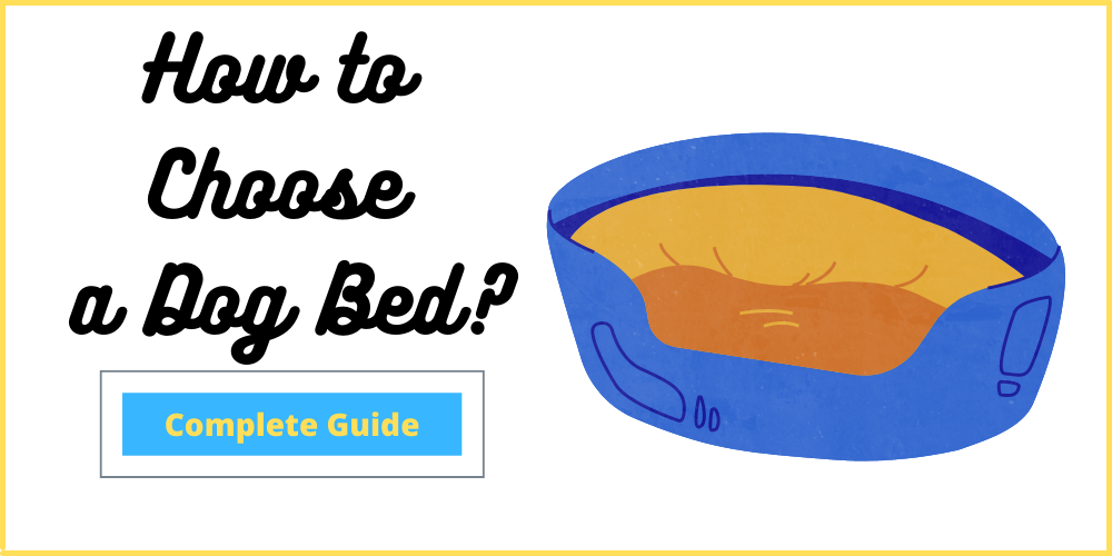 How to Choose a Dog Bed?