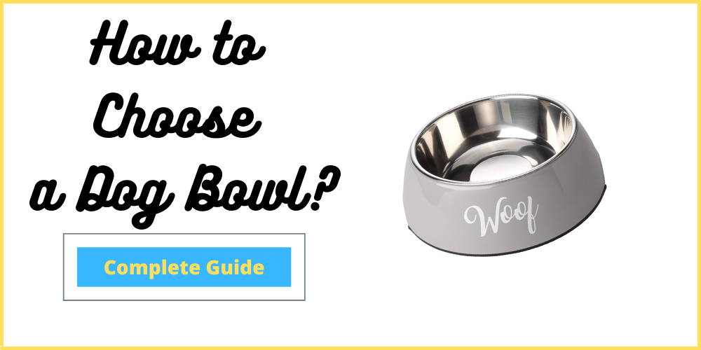How to Choose a Dog Bowl?