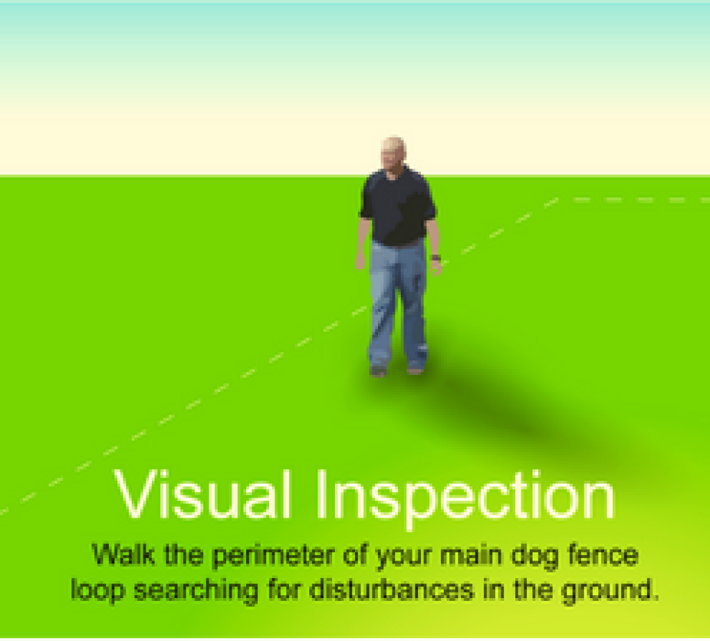 Troubleshooting Extreme Dog Fence Fix All Issues Quickly