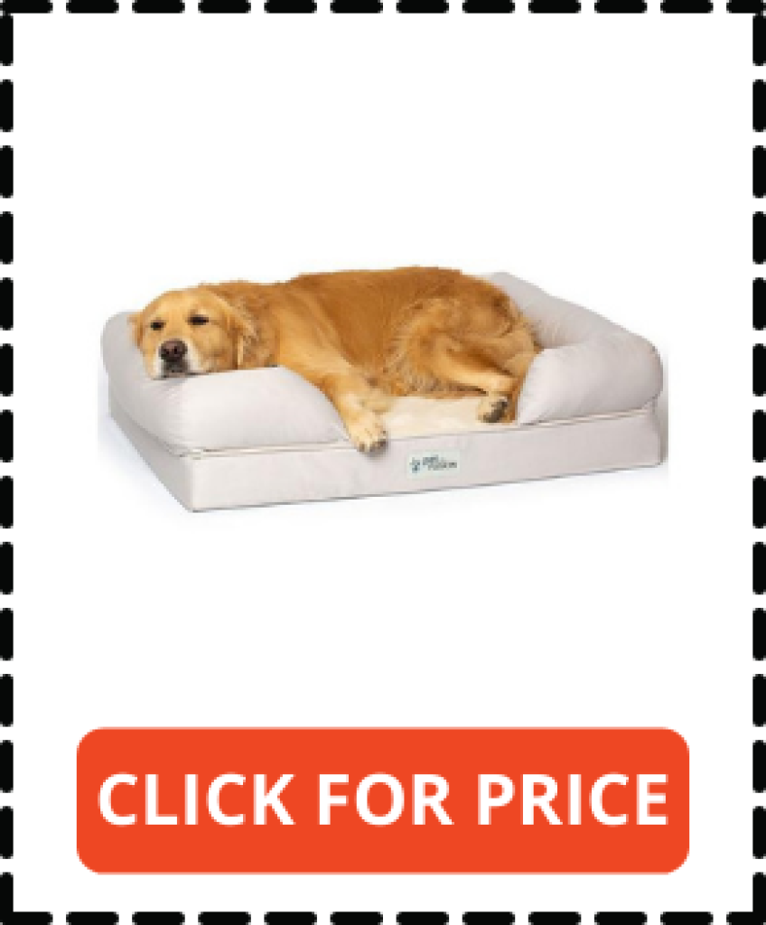 Top 10 Best Dog Beds for Older Dogs Reviews 2022