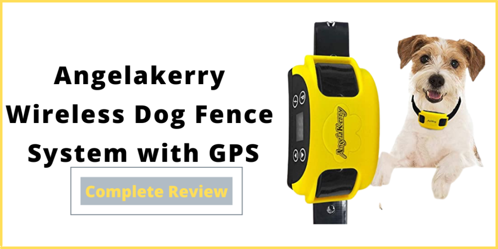 angelakerry wireless dog fence system with gps review