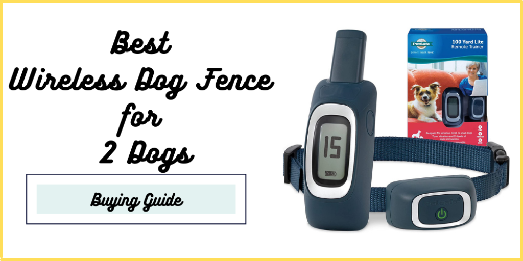 Best Wireless Dog Fence for 2 Dogs