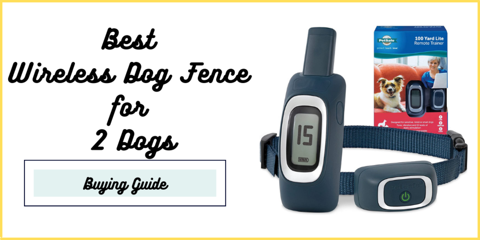 7 Best Wireless Dog Fence for 2 Dogs 2022 (Budget Friendly)