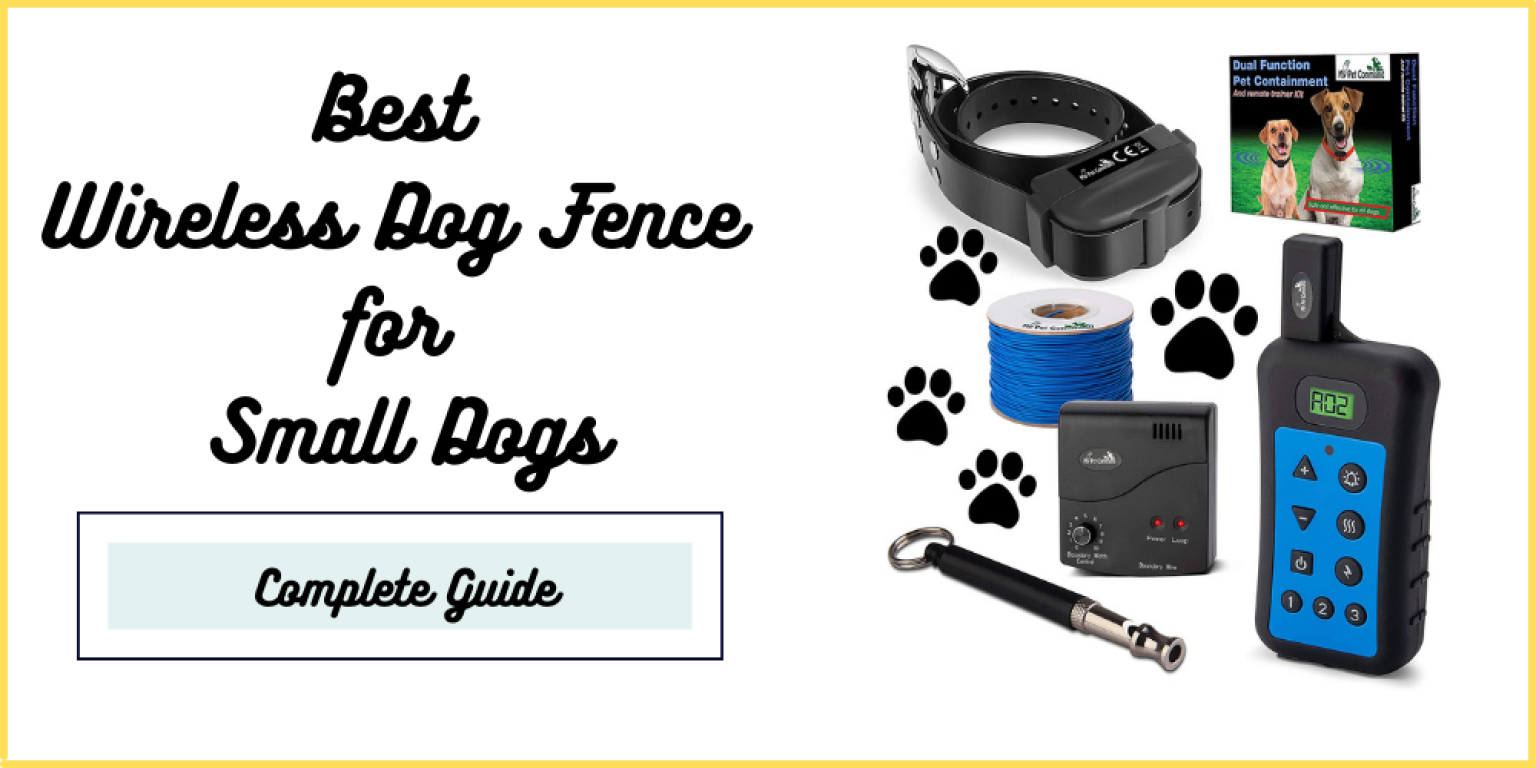10 Best Wireless Dog Fence for Small Dogs in 2022