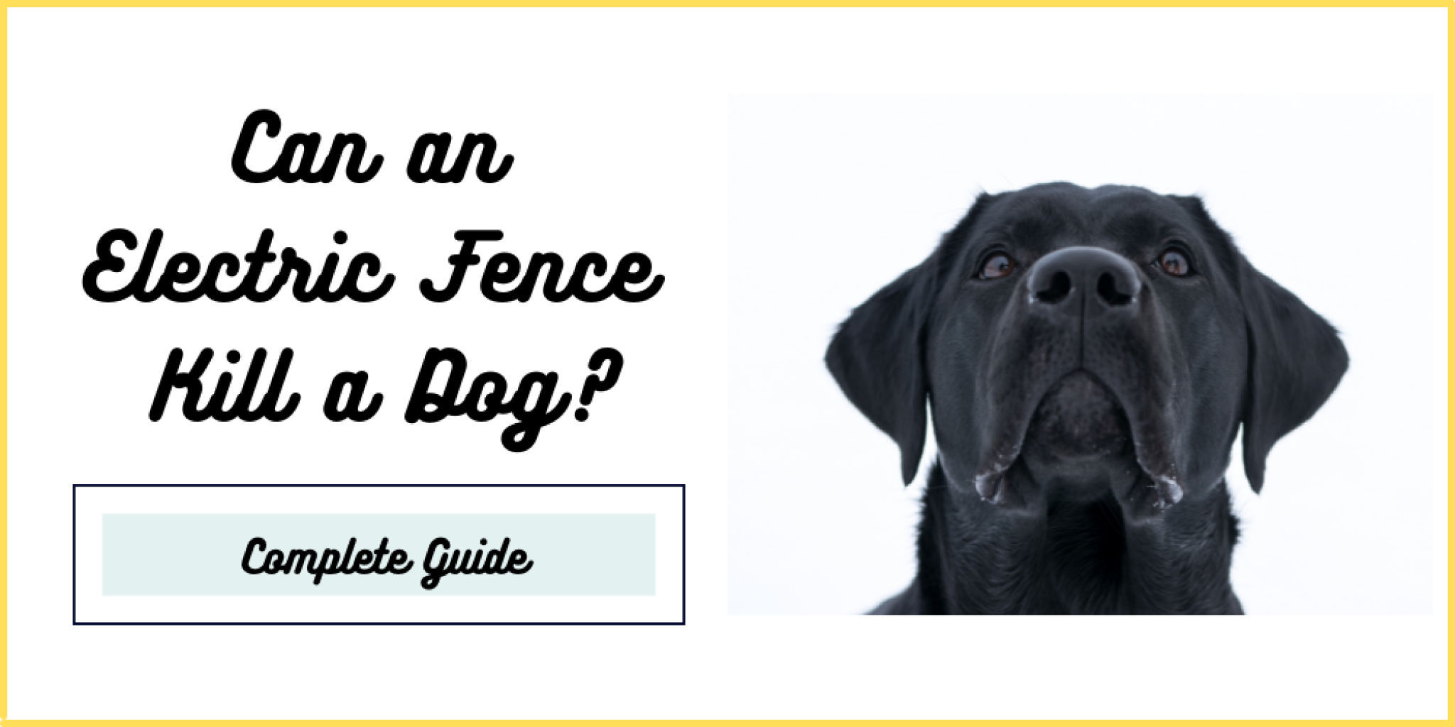 Can an Electric Fence Kill a Dog? Ultimate Guide