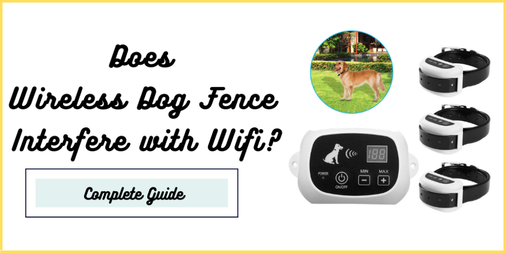Does Wireless Dog Fence Interfere with Wifi?
