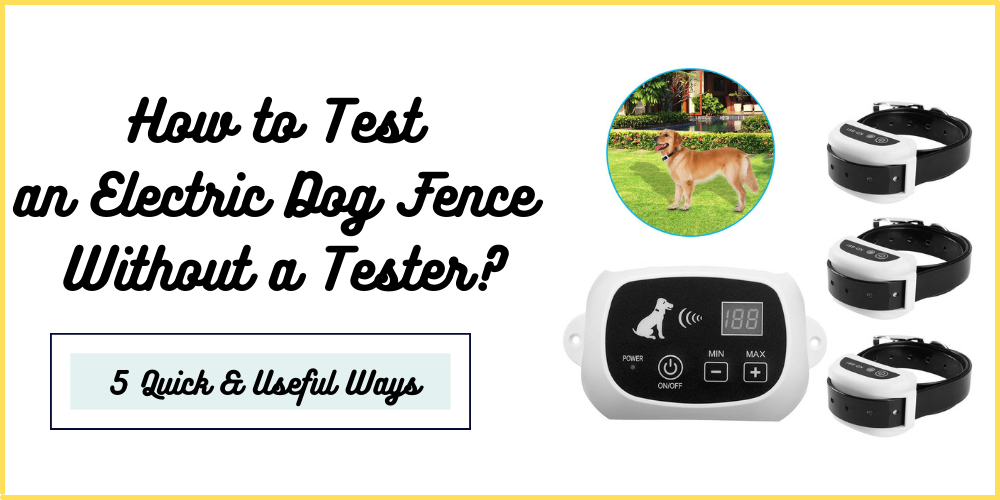How to Test an Electric Dog Fence Without a Tester?