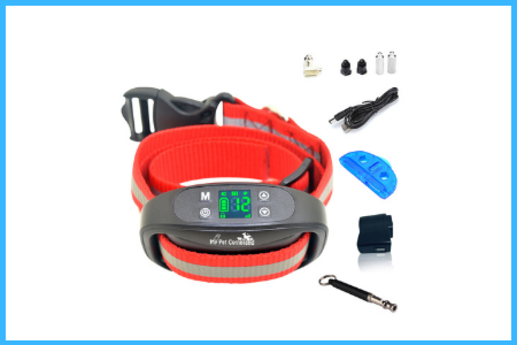 10 Best Wireless Dog Fence for Small Dogs in 2022