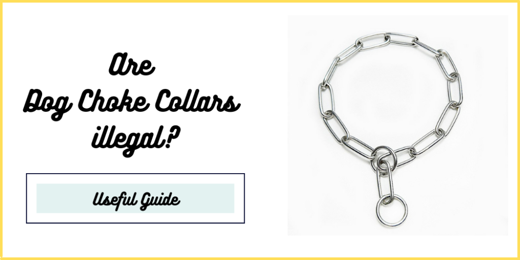 Are Dog Choke Collars illegal?