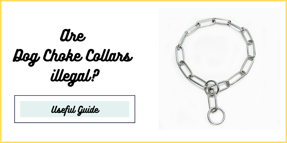 Are Dog Choke Collars illegal? Ultimate Guide of 2022